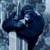 ������ ��� Viking_kong