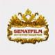 ������ ��� SENATFILM